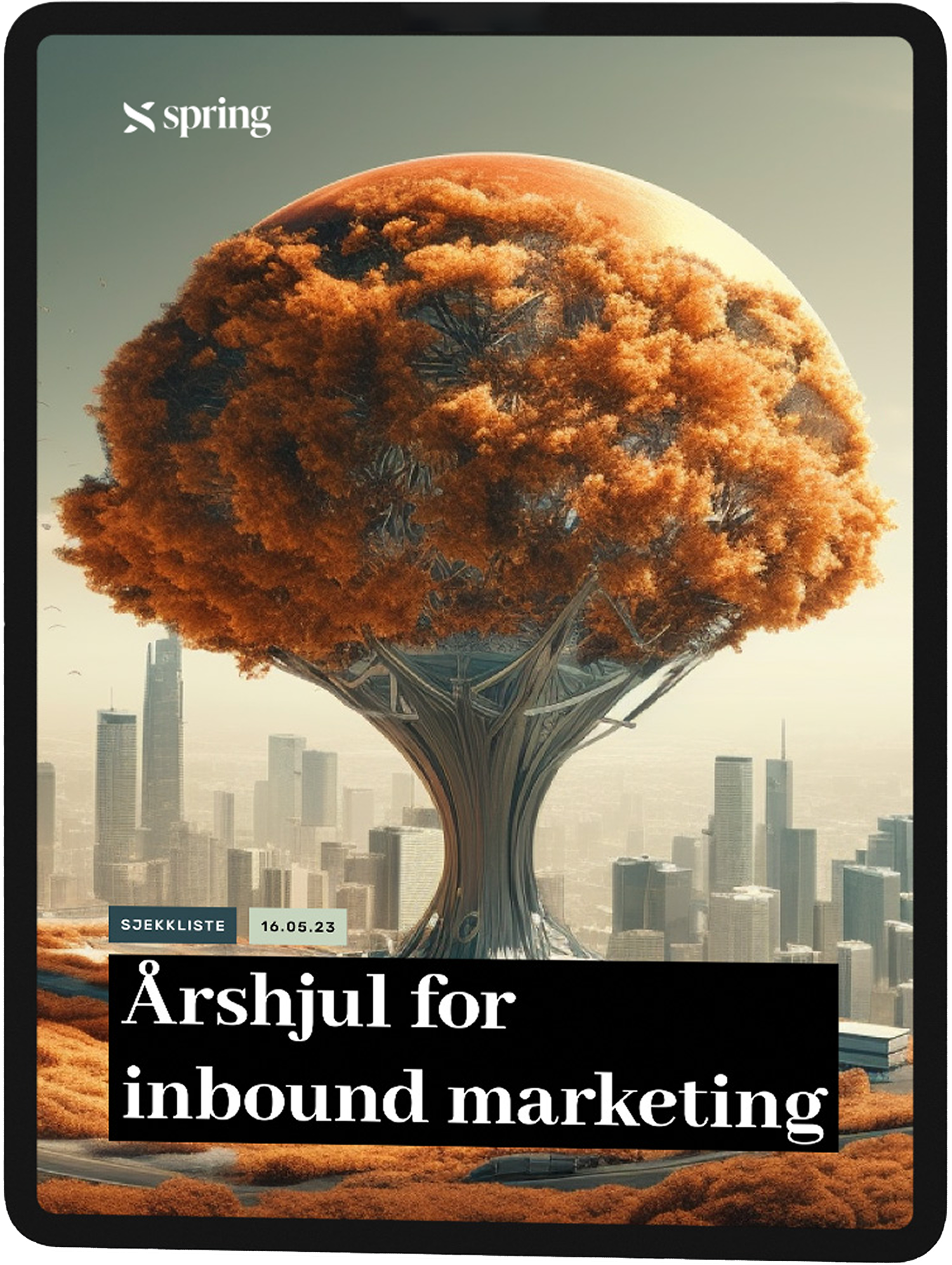 Ebook 6-1-inn